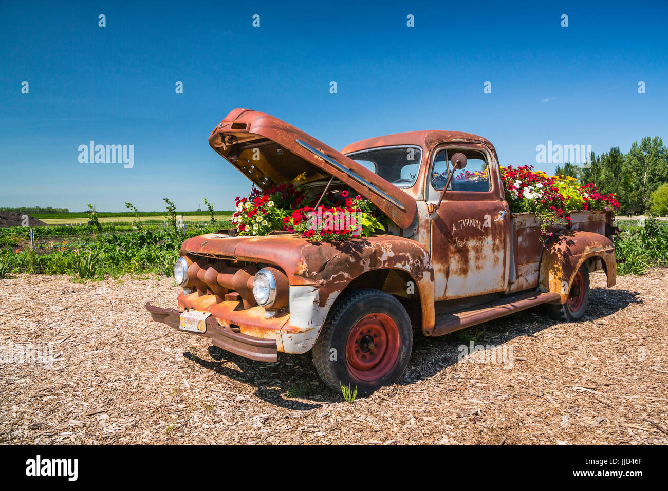 Il Parkside Pioneer Patch presentano storico a Winkler, Manitoba, Canada. Foto Stock