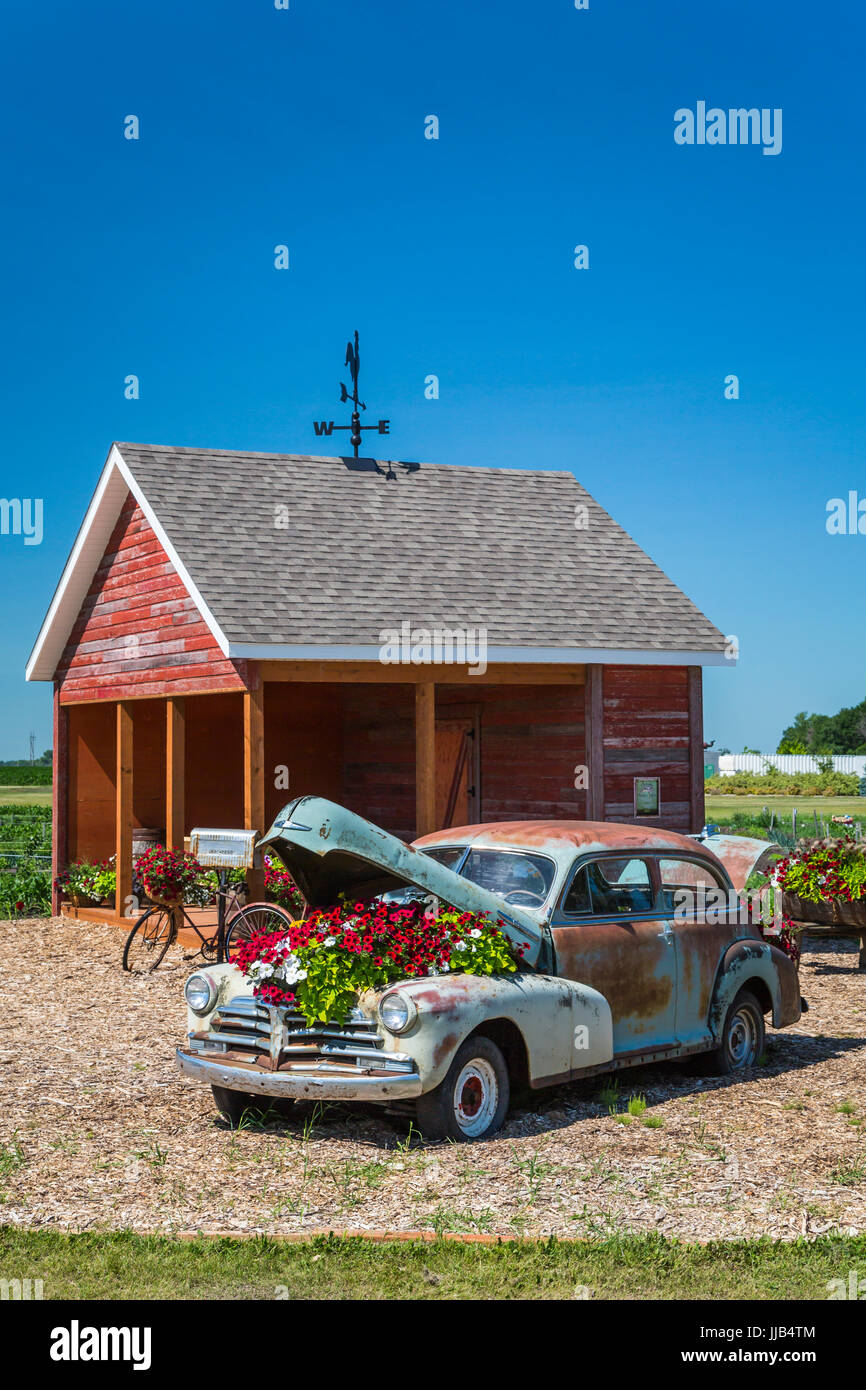 Il Parkside Pioneer Patch presentano storico a Winkler, Manitoba, Canada. Foto Stock