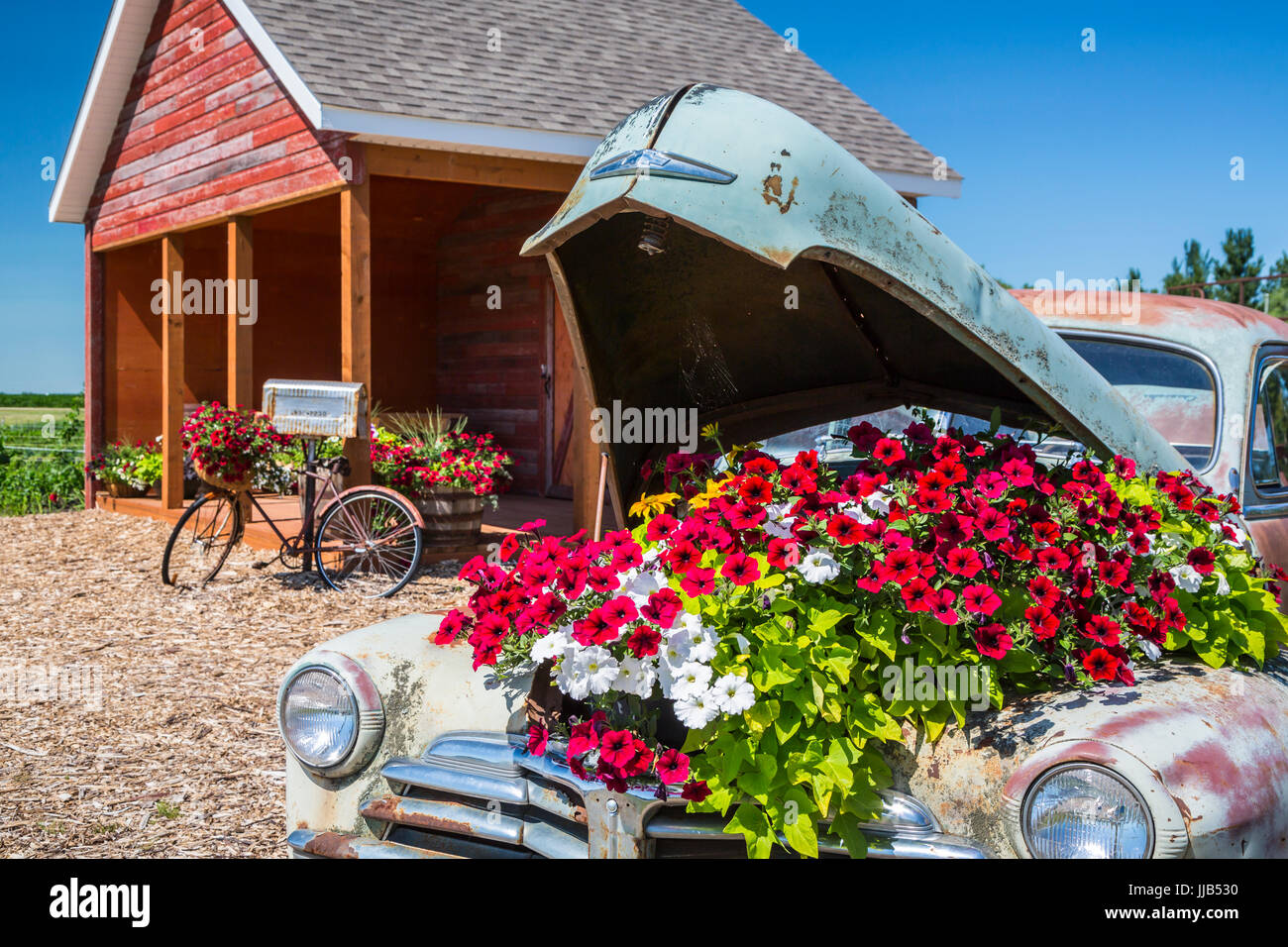 Il Parkside Pioneer Patch presentano storico a Winkler, Manitoba, Canada. Foto Stock