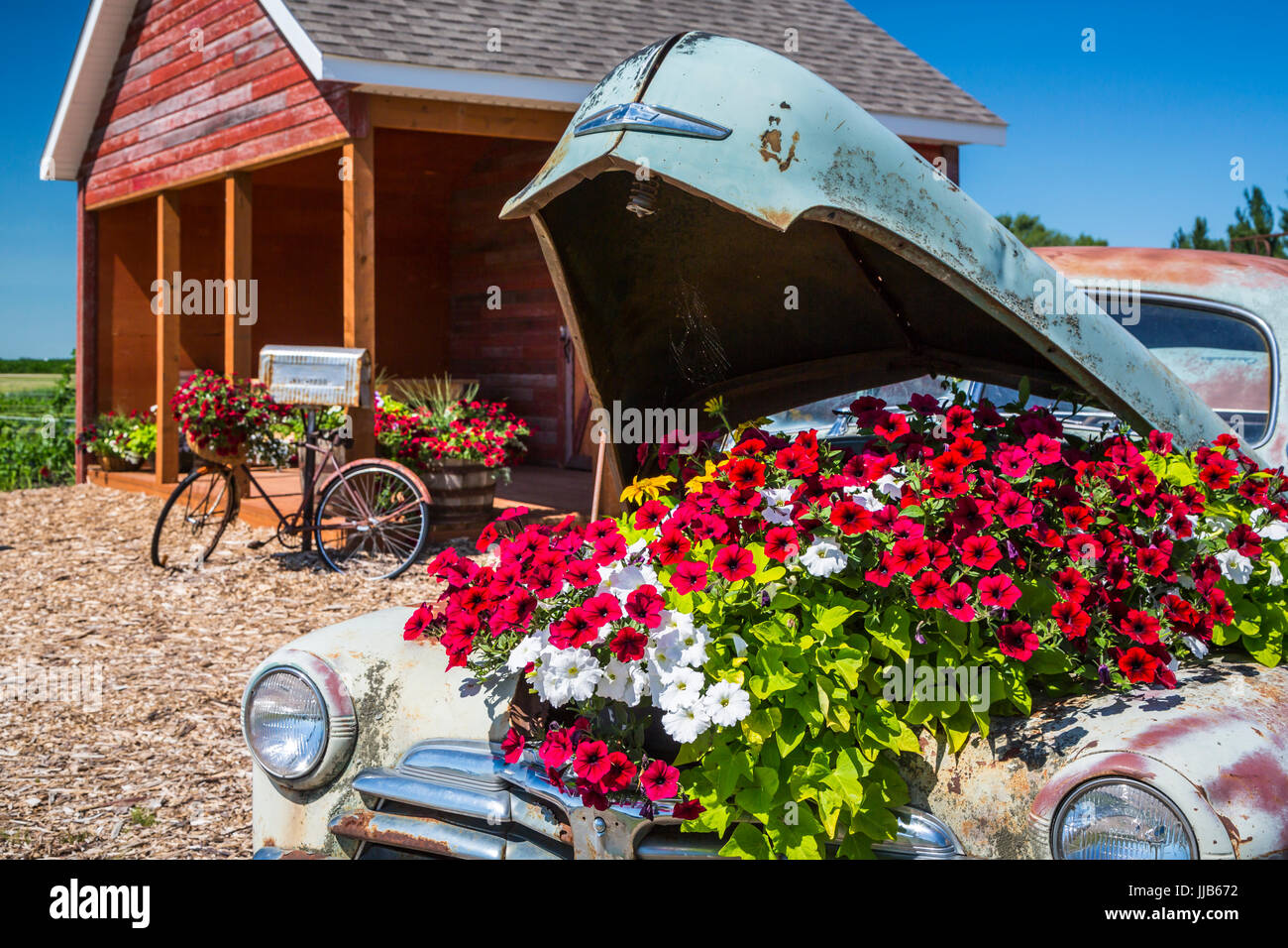 Il Parkside Pioneer Patch presentano storico a Winkler, Manitoba, Canada. Foto Stock