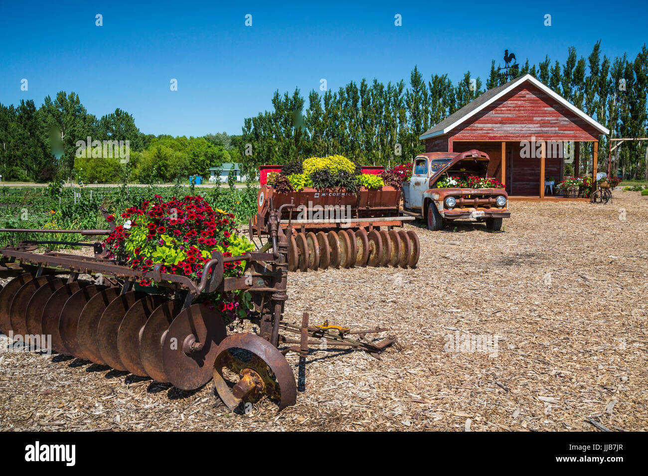 Il Parkside Pioneer Patch presentano storico a Winkler, Manitoba, Canada. Foto Stock