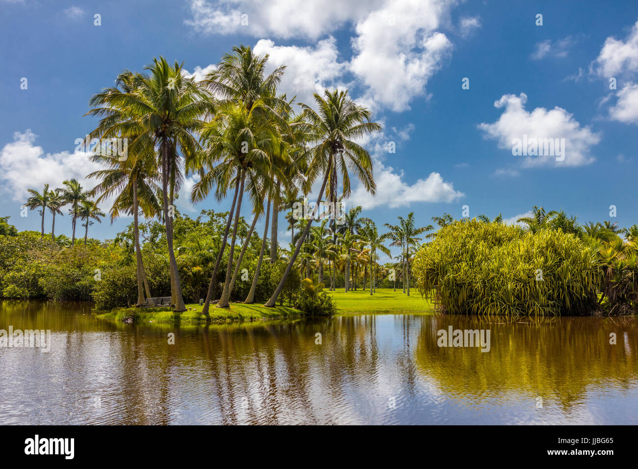Fairchild Tropical Botanic Garden un 83 acri tropicale giardino botanico in Coral Gables Florida Foto Stock