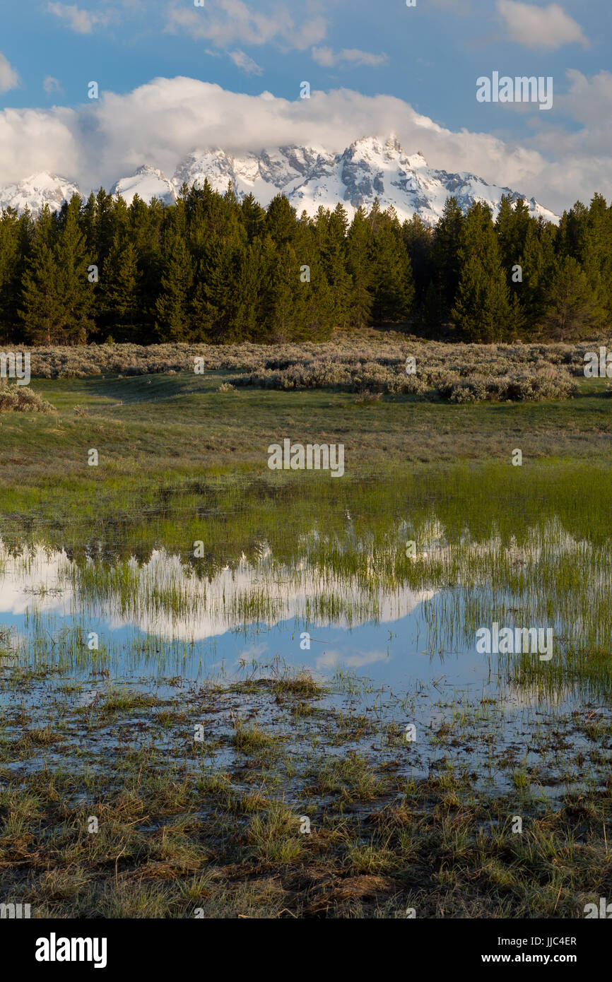 Neve-stagno fuso che riflette i Teton Mountains in Jackson Hole. Il Parco Nazionale del Grand Teton, Wyoming Foto Stock