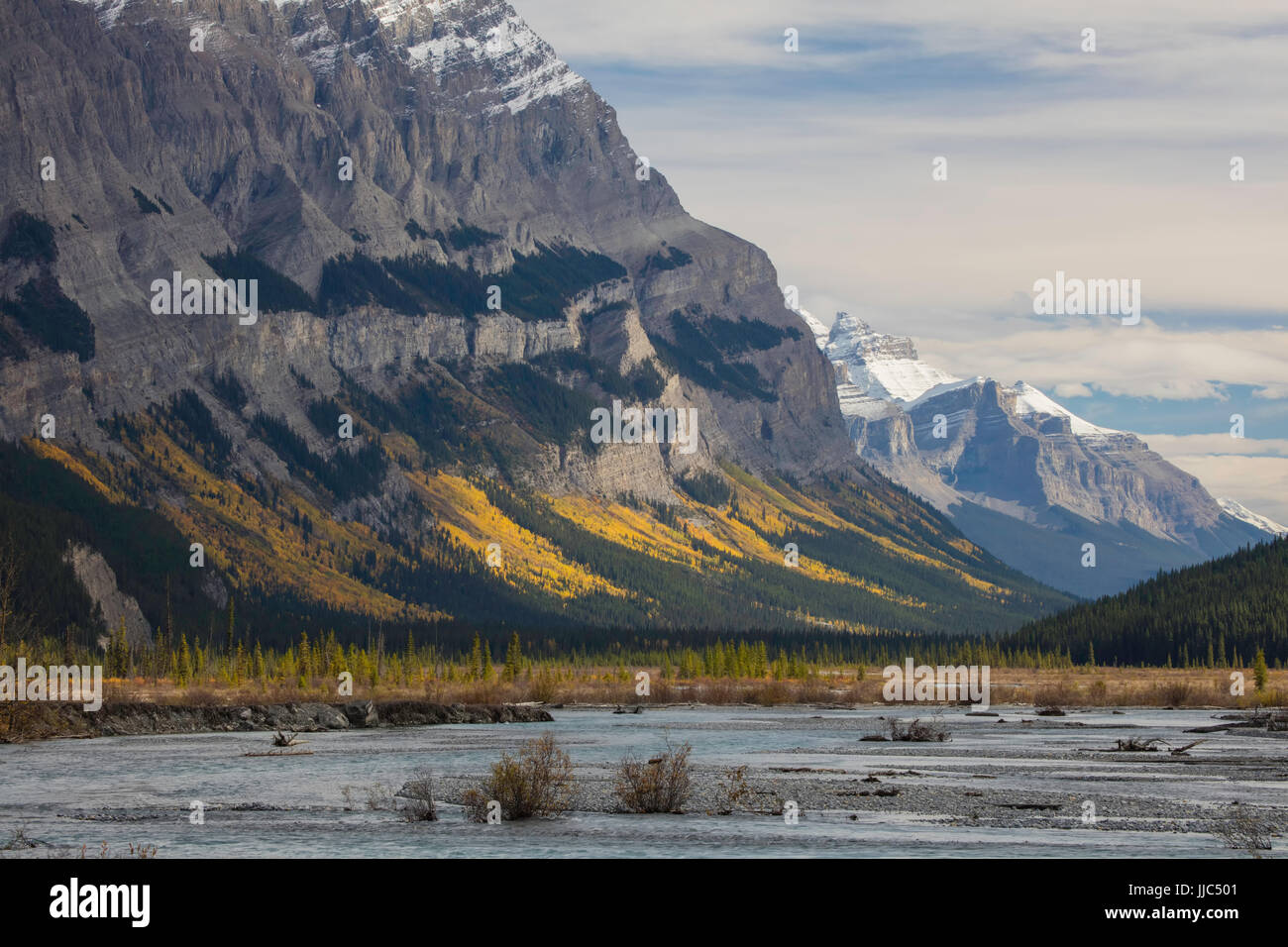 Autunno a colori lungo il Nord del Fiume Saskatchewan, il Parco Nazionale di Banff, Alberta, Canada Foto Stock