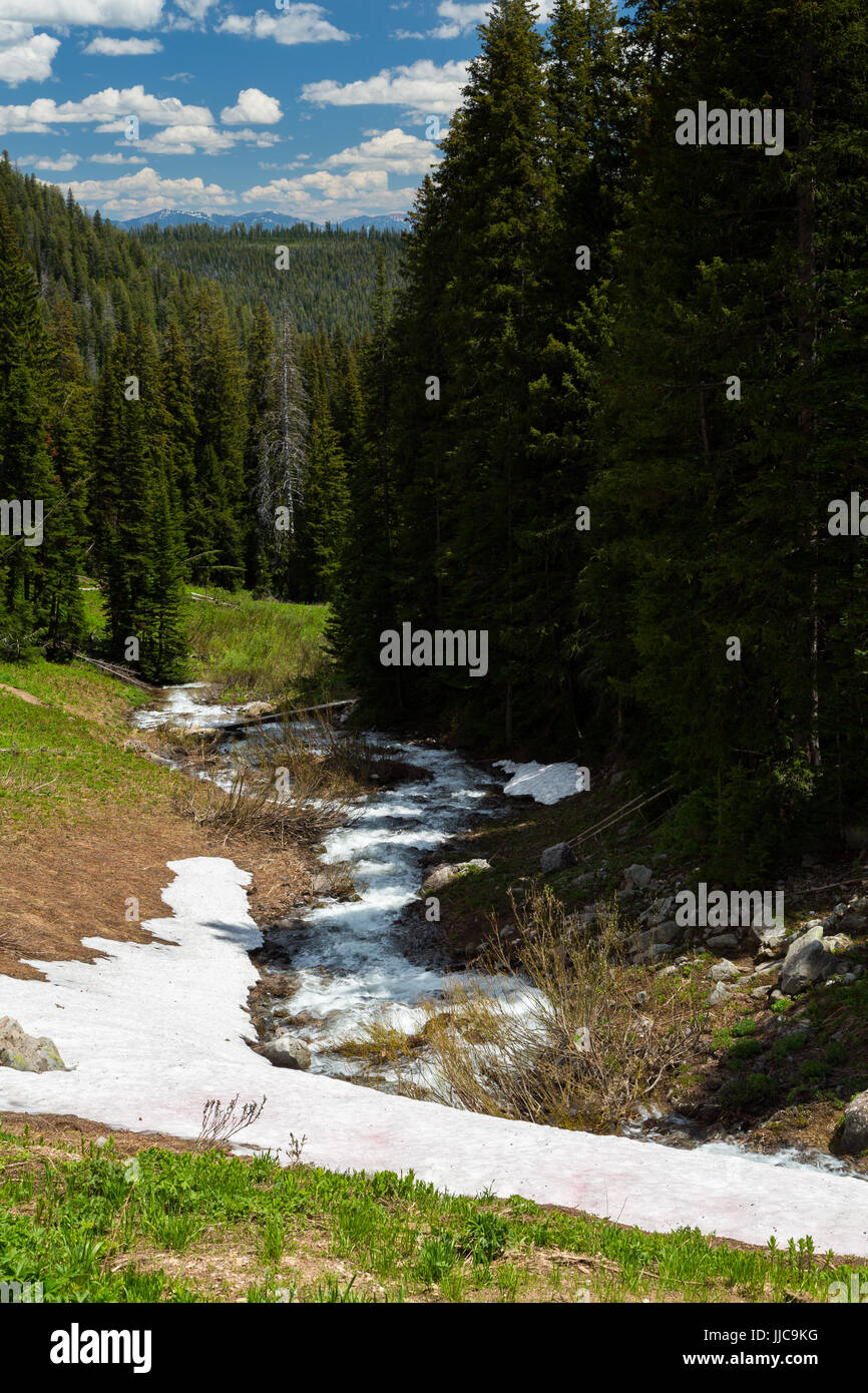 Una cascata di torrente che scorre verso la cresta Phillips al di sotto di una banca di neve nel Teton Mountains. Bridger-Teton National Forest, Wyoming Foto Stock