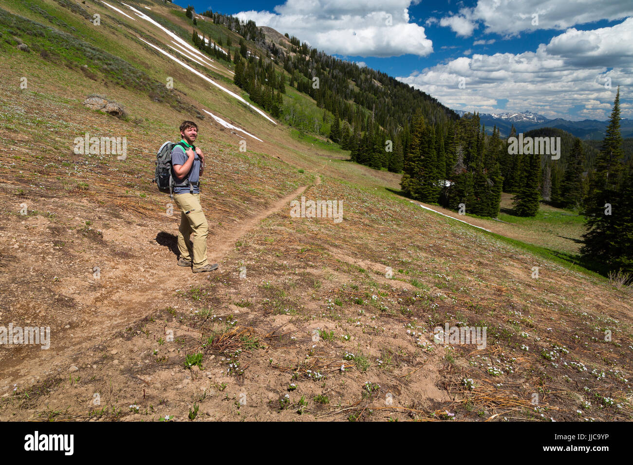 Un maschio di escursionista scendendo le Teton Crest Trail da Phillips passano nel Teton Mountains. Bridger-Teton National Forest, Wyoming Foto Stock