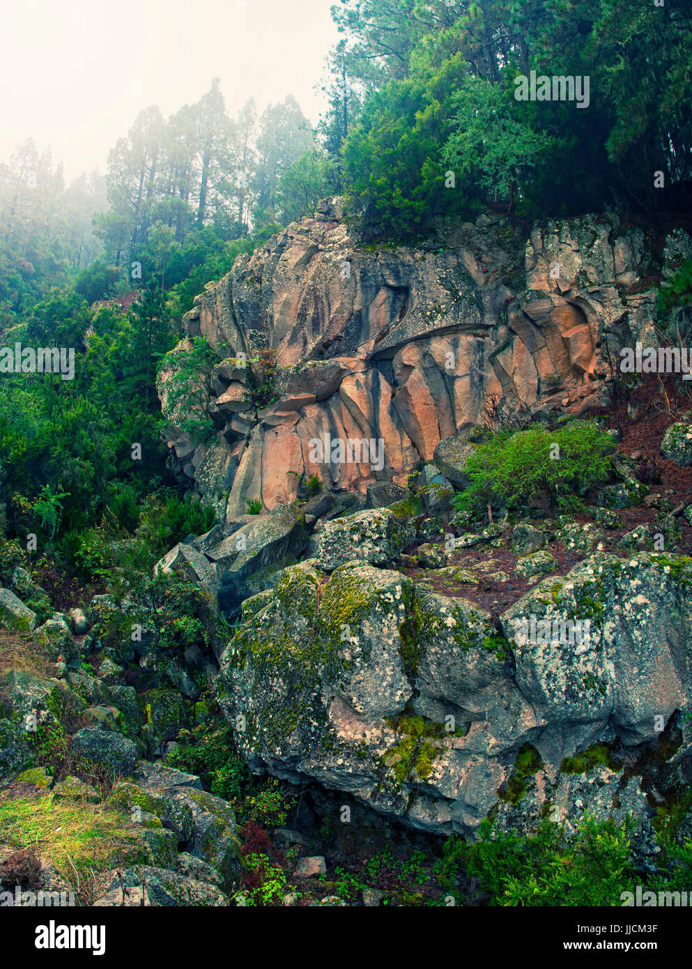 Cross-immagine elaborata di formazioni rocciose in foreste di montagna di el Parco Nazionale del Teide a Tenerife, Isole canarie, Spagna Foto Stock