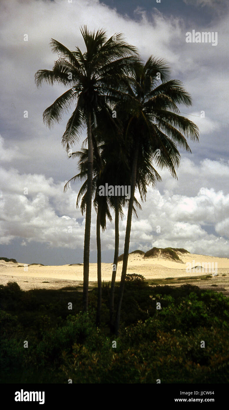 Porto das Dunas Beach, Ceará, Brasile Foto Stock