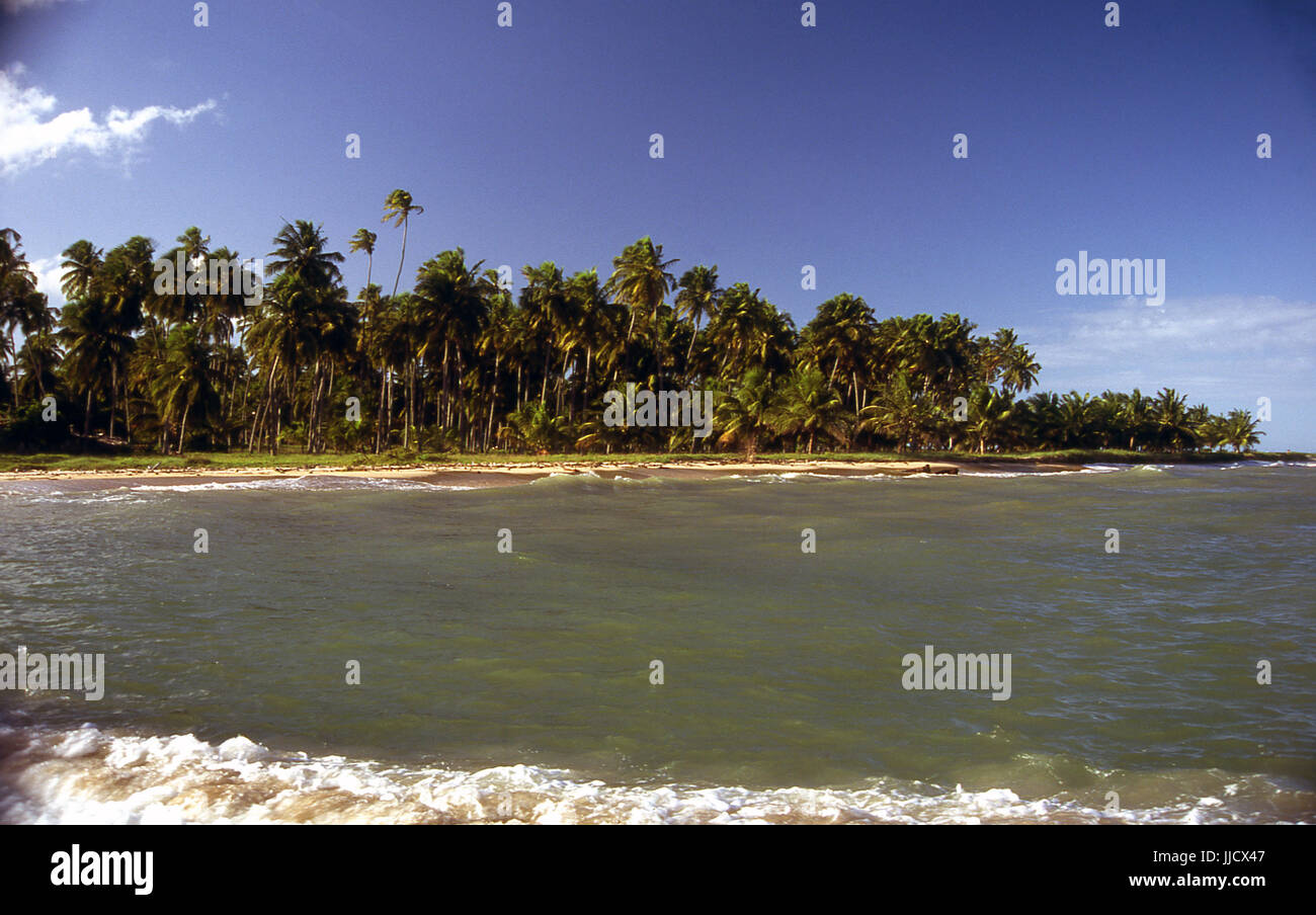 São José da Coroa Grande Beach, Pernambuco, Brasile Foto Stock