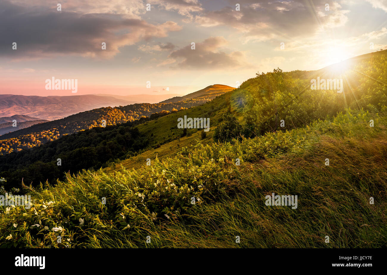 Prato erboso sul pendio di una collina in splendido tramonto rossastro. splendido scenario estivo Foto Stock