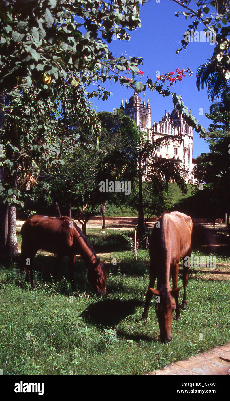Chiesa Sto Antonio do Carmo; in Olinda, Pernambuco; Brasile Foto Stock
