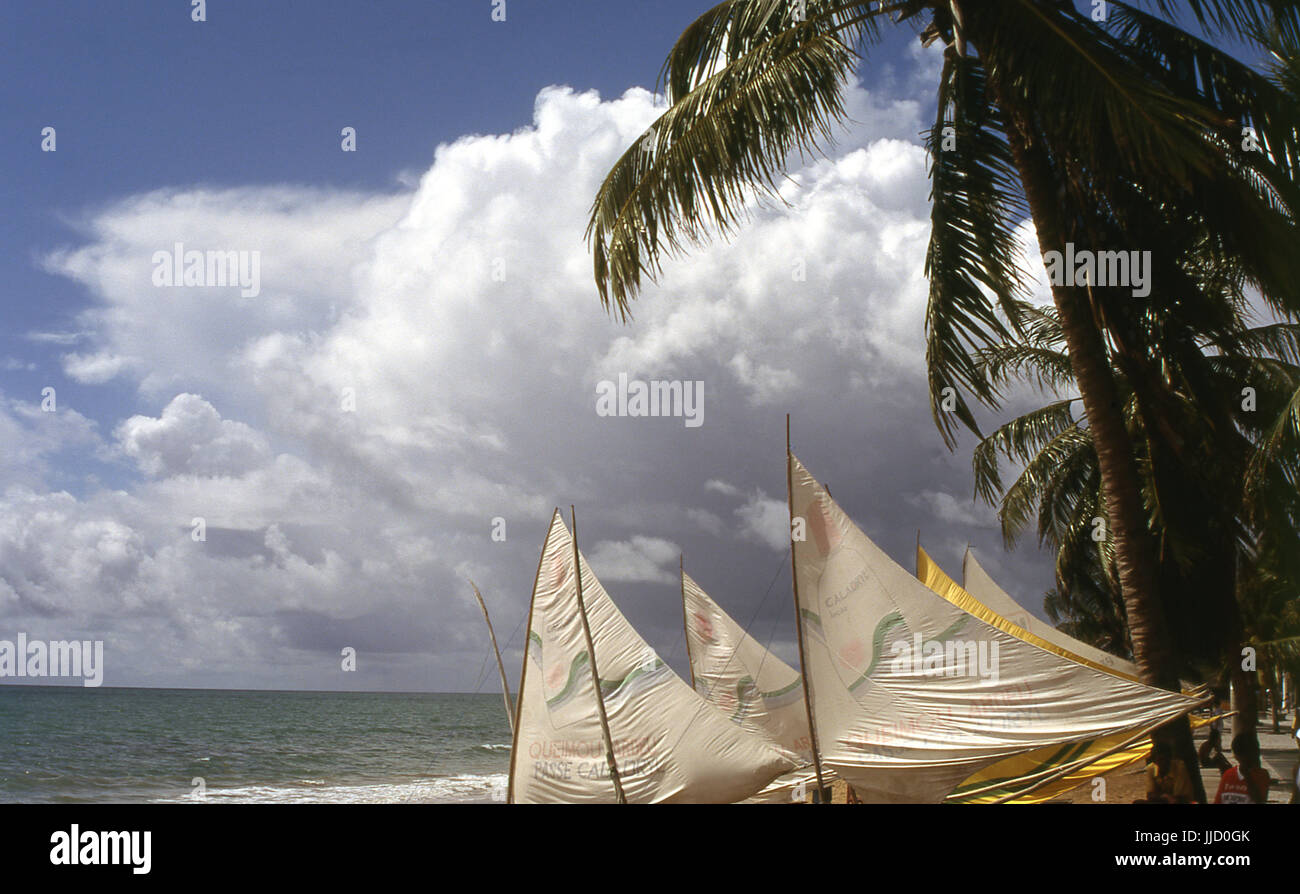 Spiaggia di Boa Viagem; Recife; Pernambuco; Brasile. Foto Stock