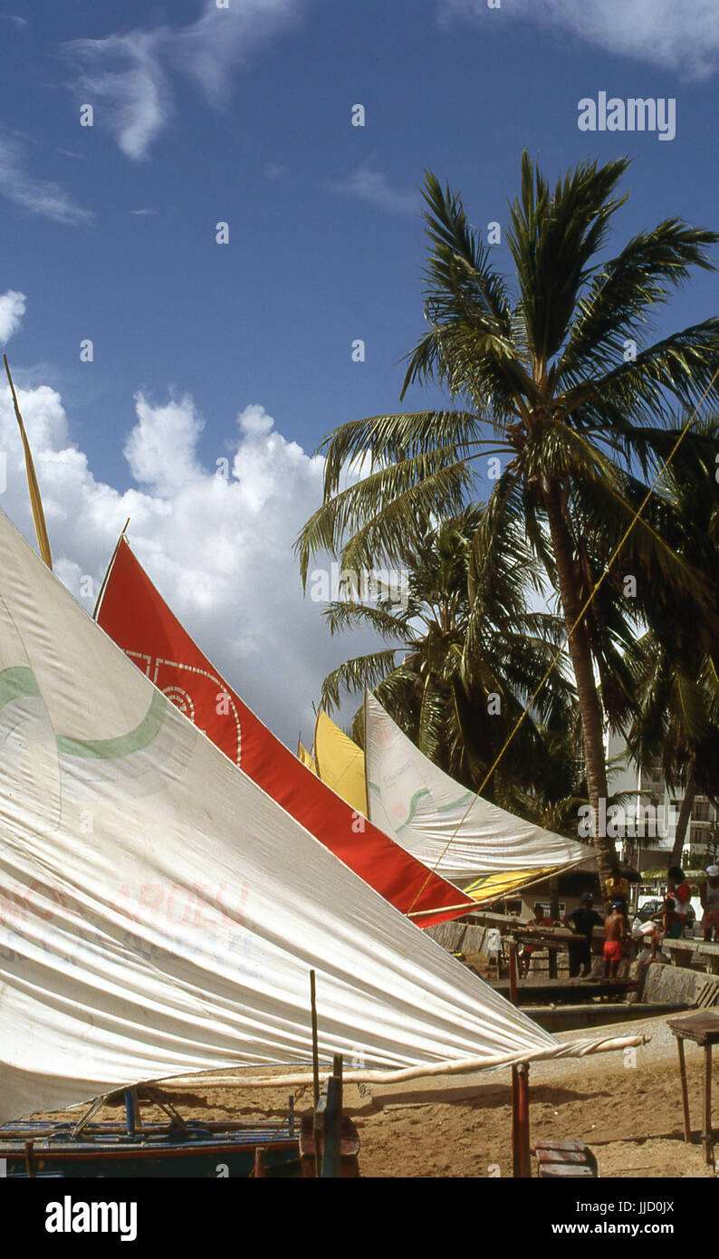 Spiaggia di Boa Viagem; Recife; Pernambuco; Brasile. Foto Stock