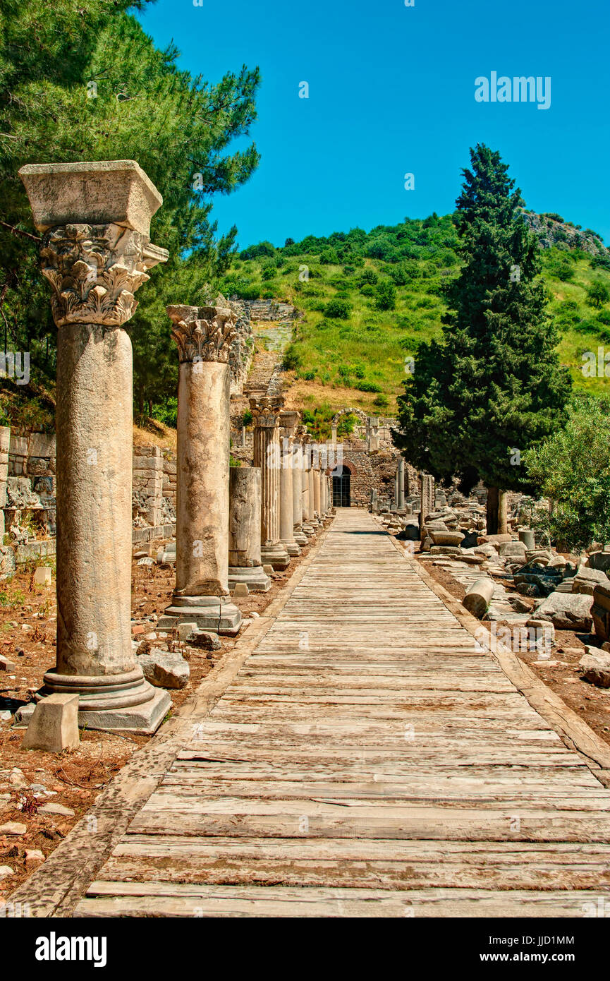 Corsia di legno con colonne e alberi a fianco nell'antica città di Efeso sulla giornata di sole contro il cielo blu chiaro, Turchia Foto Stock