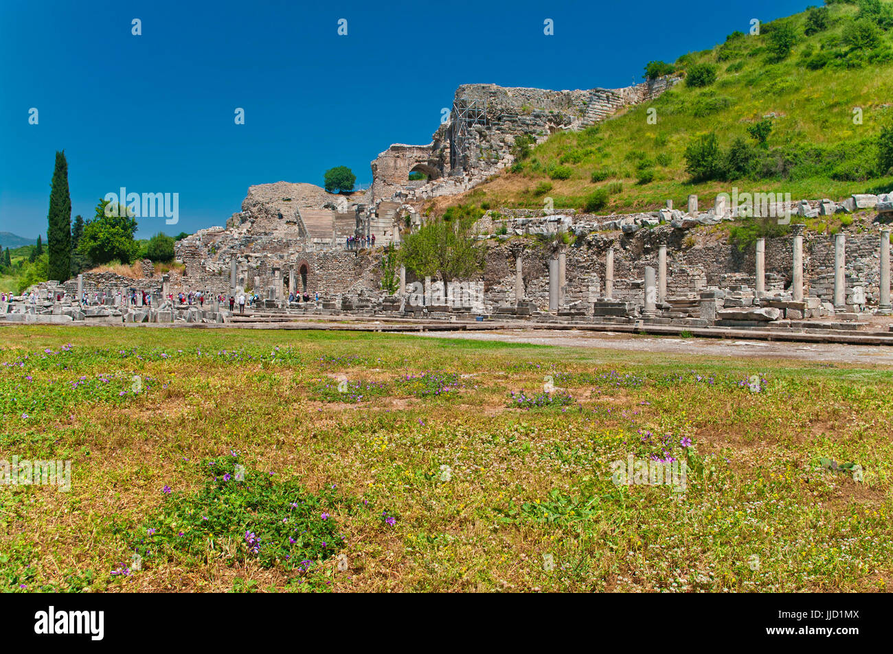 Vista di antiche rovine di Efeso con prato verde e piccoli fiori viola in primo piano sulla soleggiata giornata di primavera, Turchia Foto Stock