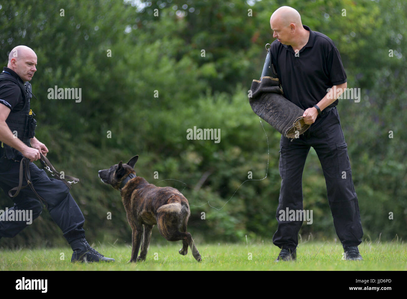 Polizia gestore del cane e il suo cane eseguire per i bambini di una scuola. Foto Stock