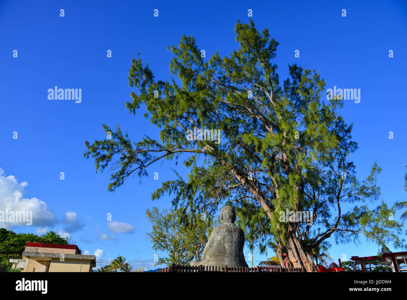 Statua di Dio con un enorme albero a parco pubblico in Mahebourg, Mauritius. Maurizio, un oceano Indiano nazione insulare, è noto per le sue spiagge, lagune e reef Foto Stock