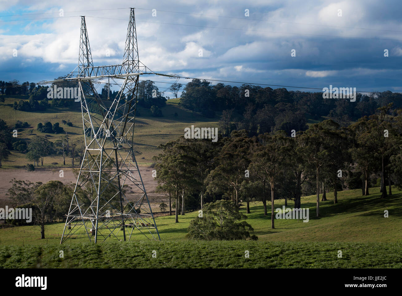 Alta tensione potenza elettrica linee e poli stirando paddock rurale Foto Stock