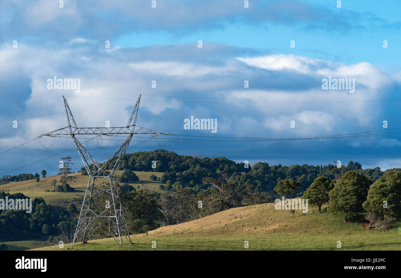 Alta tensione potenza elettrica linee e poli stirando paddock rurale Foto Stock