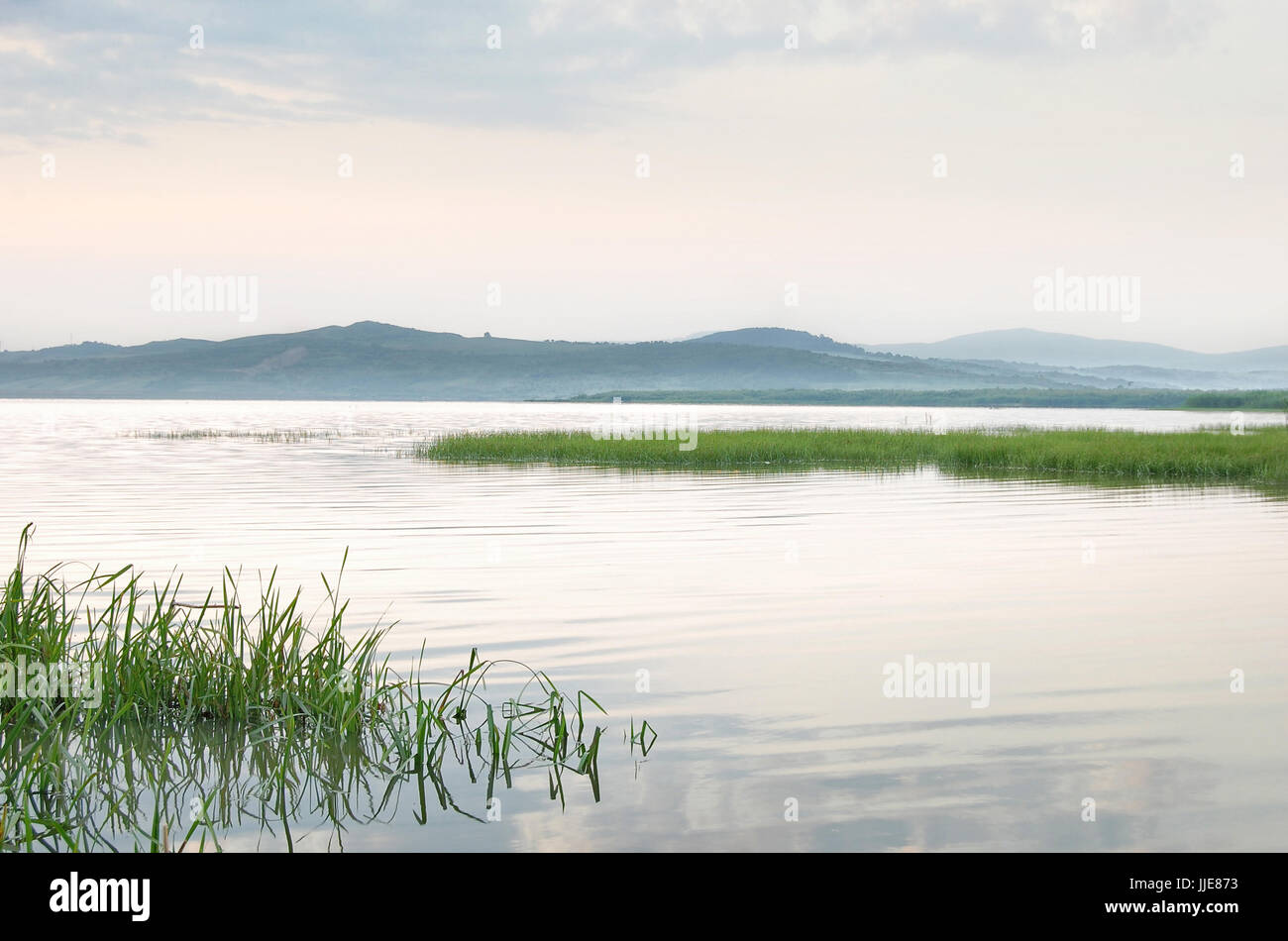 Il minimo lago paesaggio con erba verde in estate Foto Stock