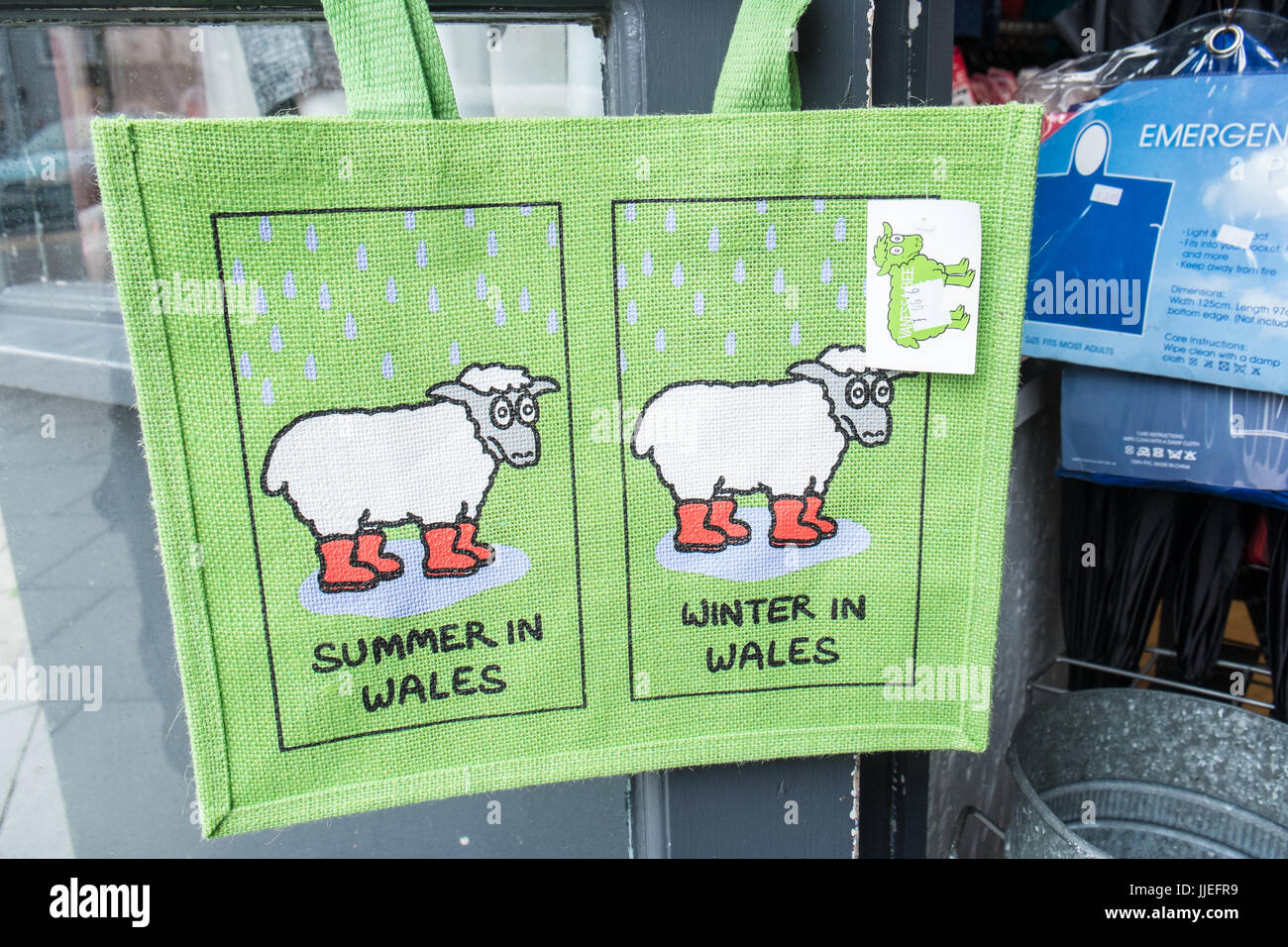 Welsh,themed,tema,pecore,souvenir,souvenir,dono,doni,negozi,Aberystwyth,Ceredigion,West,Galles,West Wales,il Galles Centrale,Welsh,U.K.,UK,GB,l'Europa, Foto Stock