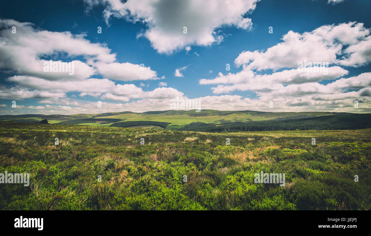 Verde paesaggio collinare del Parco Nazionale di Snowdonia nel Galles, Regno Unito Foto Stock