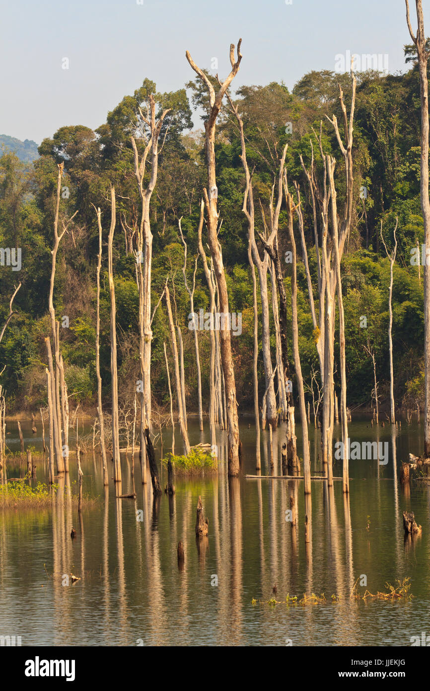 Gli alberi morti nel serbatoio con cielo blu - Thakhek Loop Foto Stock