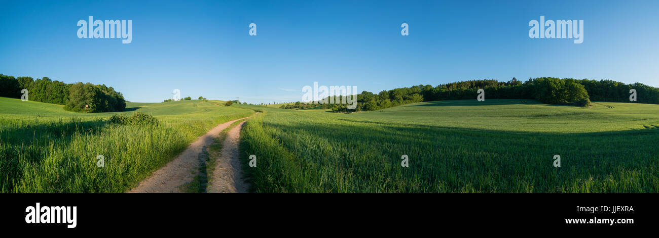 Panorama della molla verde campo e strada sterrata e chiaro scy Foto Stock