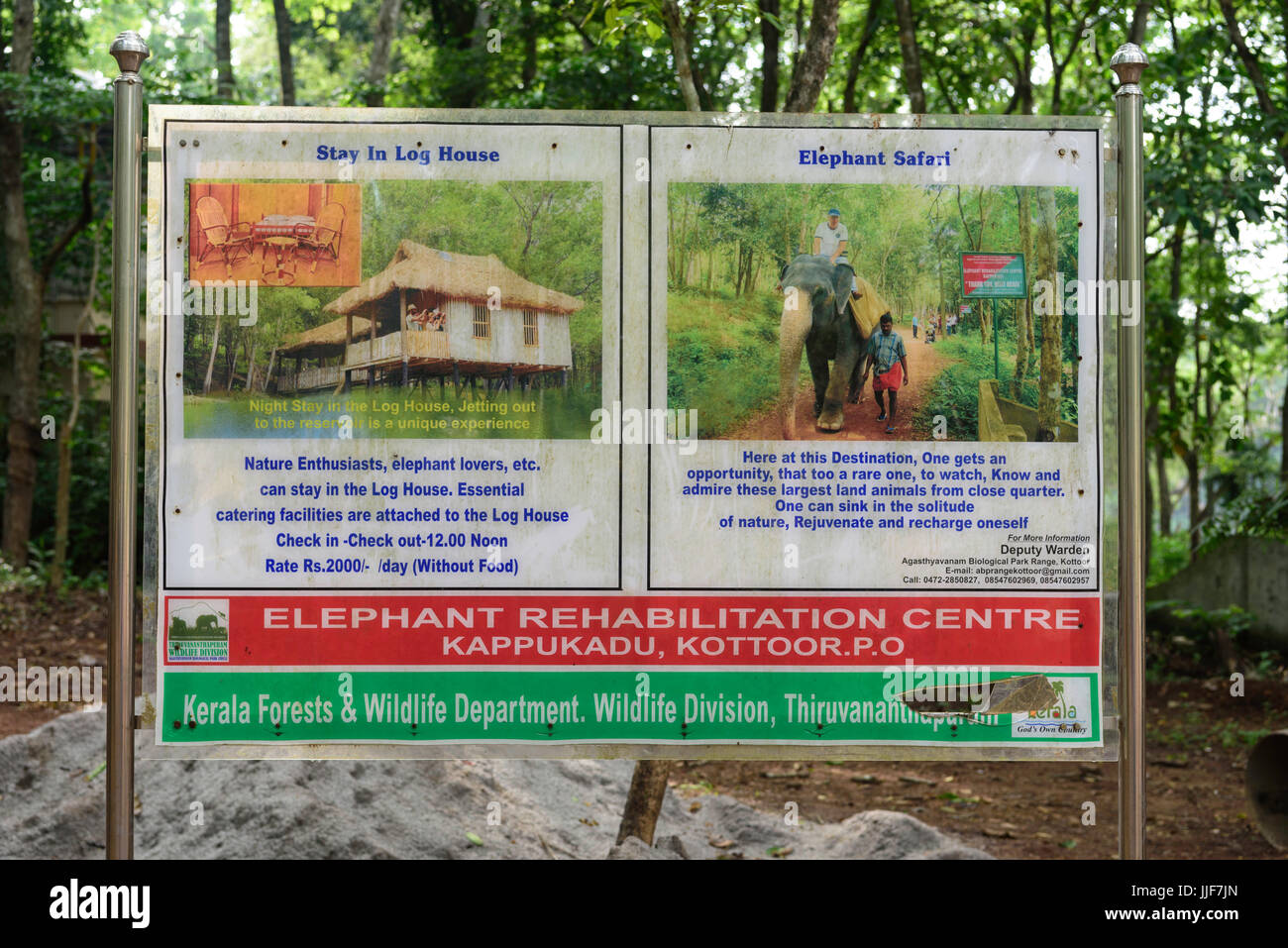 Kottoor Kappukadu Elephant Centro di Riabilitazione India Kerala Foto Stock