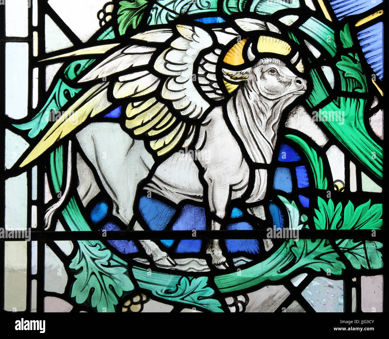 Winged Bull il vetro macchiato - uno dei quattro bestie apocalittiche o i simboli dei quattro evangelisti simboleggia l evangelista Luca Foto Stock