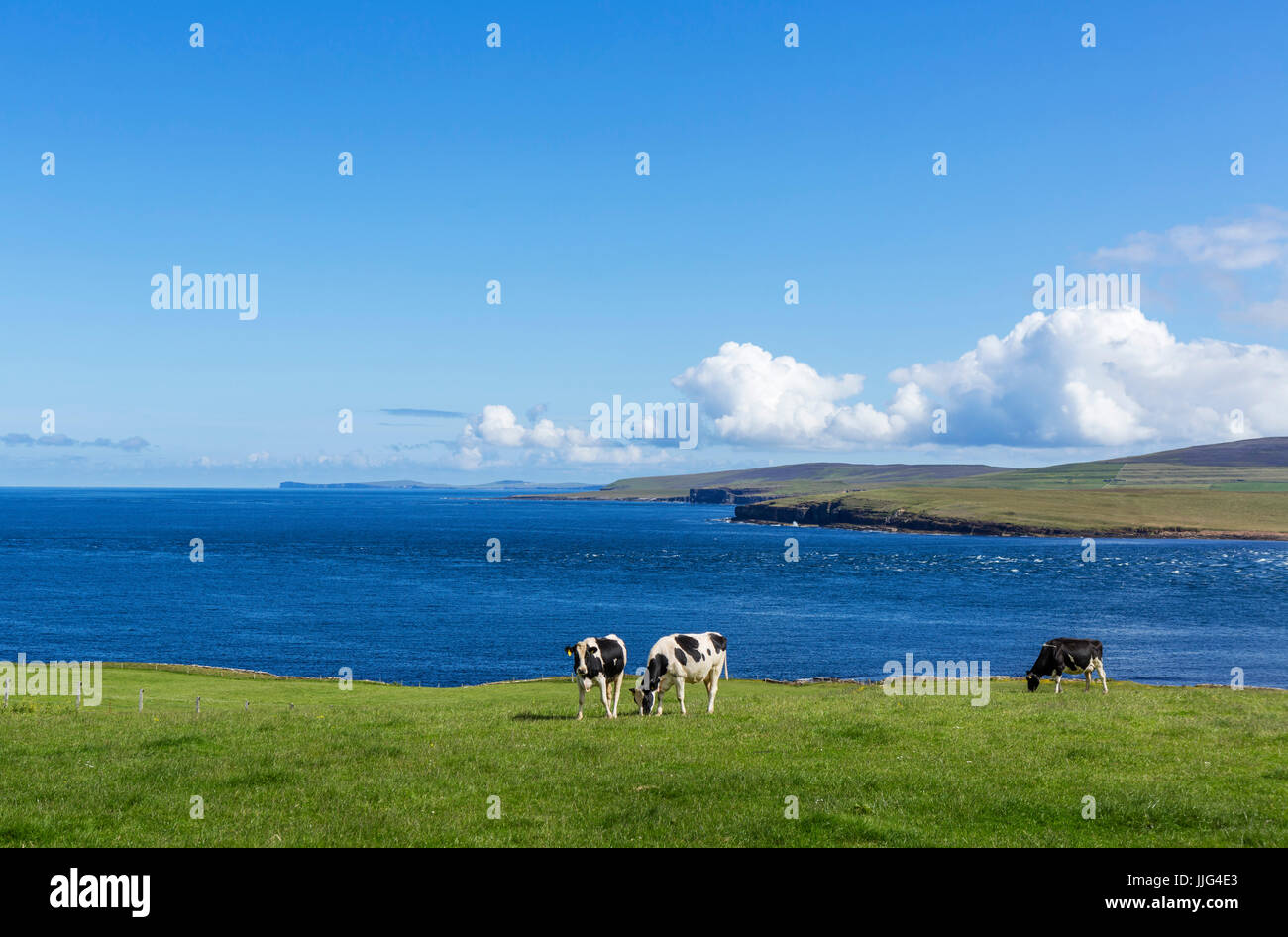 Visualizza dalla A966 sulla costa settentrionale del territorio continentale guardando verso Rousay con Westray nella distanza, isole Orcadi Scozia, Regno Unito Foto Stock