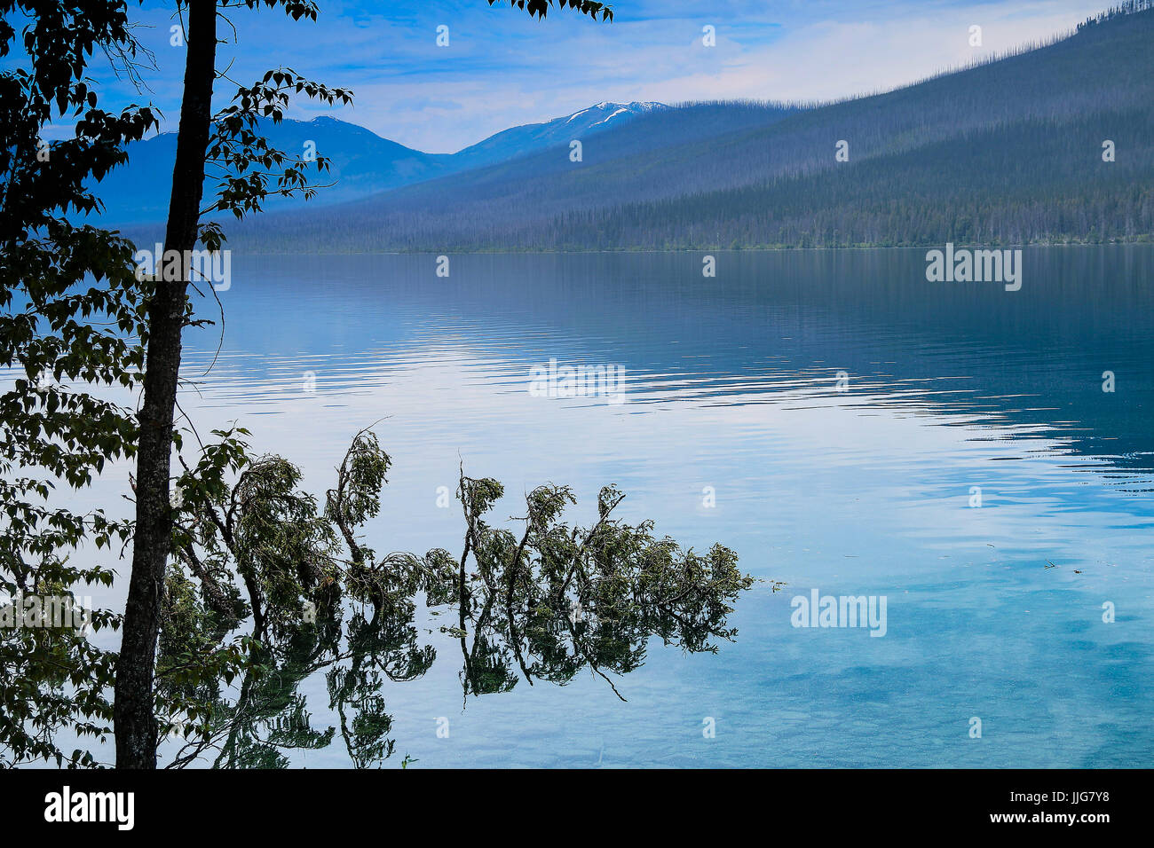 Il ramo del lago di Glacier NP Foto Stock