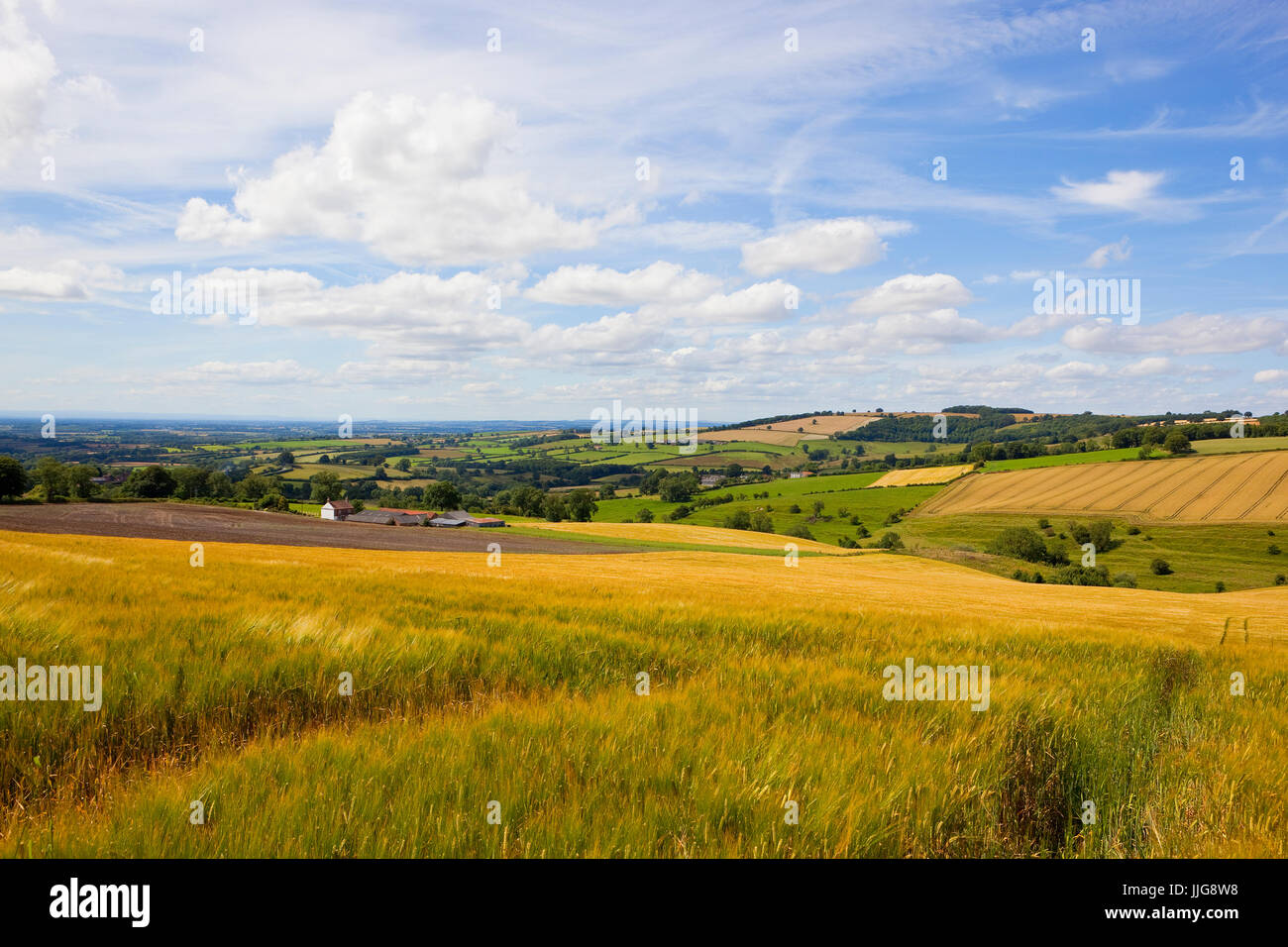 Splendide yorkshire wolds farmland paesaggi con patchwork campi sotto un cielo di estate blu Foto Stock