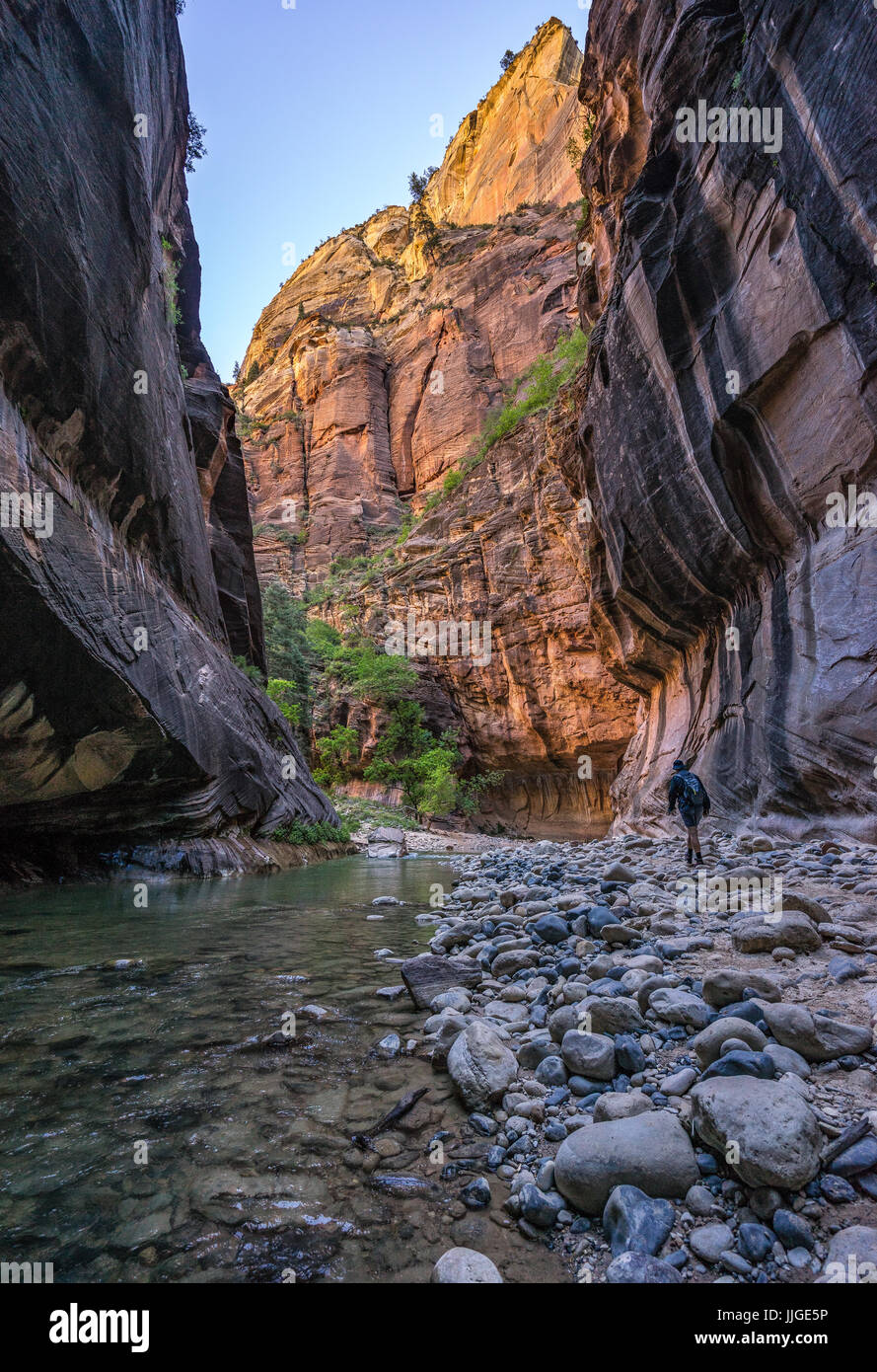 Uomo di attraversare il fiume, si restringe, Parco Nazionale Zion, Utah, America, STATI UNITI D'AMERICA Foto Stock