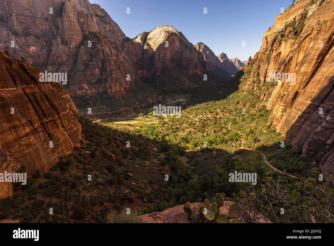 Zion Canyon dal West Rim Trail, Parco Nazionale Zion, Utah, America, STATI UNITI D'AMERICA Foto Stock