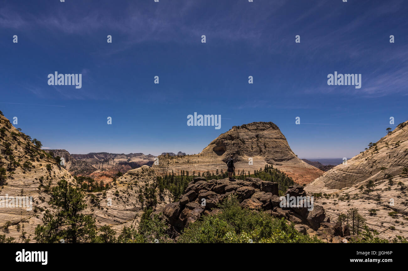 Escursionista guardando a Nord Angelo Custode nel Parco Nazionale di Zion, Utah, America, STATI UNITI D'AMERICA Foto Stock