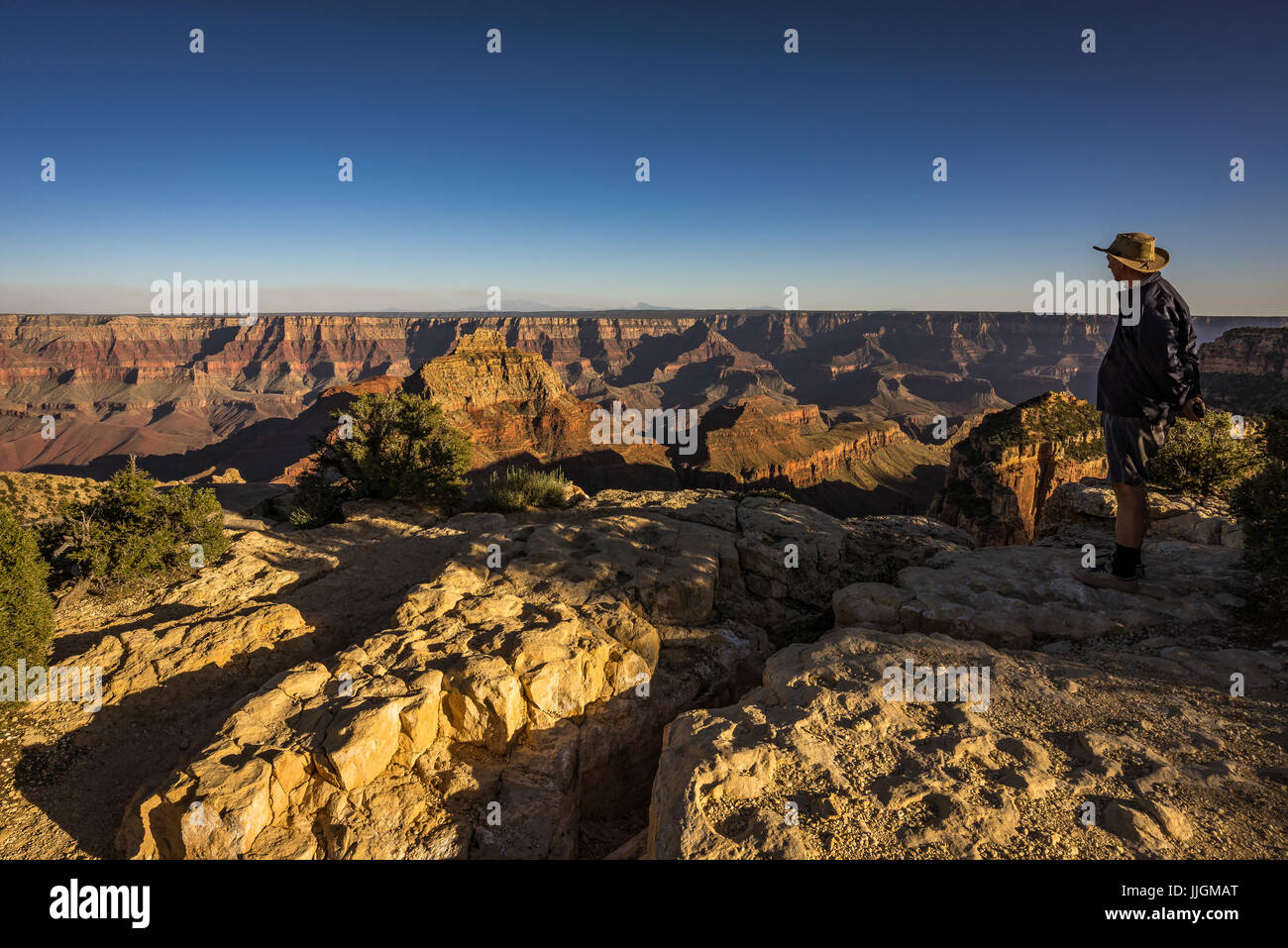 Uomo in piedi a Cape Royal guardando al Grand Canyon, Arizona, America, STATI UNITI D'AMERICA Foto Stock