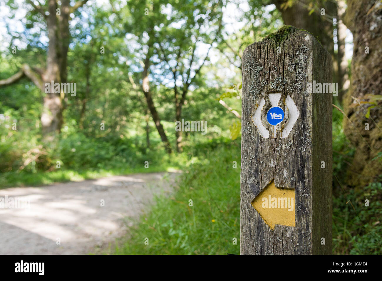 Indipendenza scozzese referendum - Nozione - sì adesivo sul West Highland Way percorso di lunga distanza marcatore Foto Stock