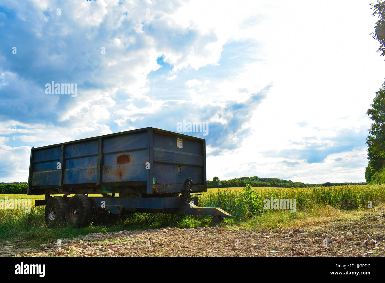 Rusty vecchia fattoria blu rimorchio seduto in un campo di grano prima del raccolto Foto Stock