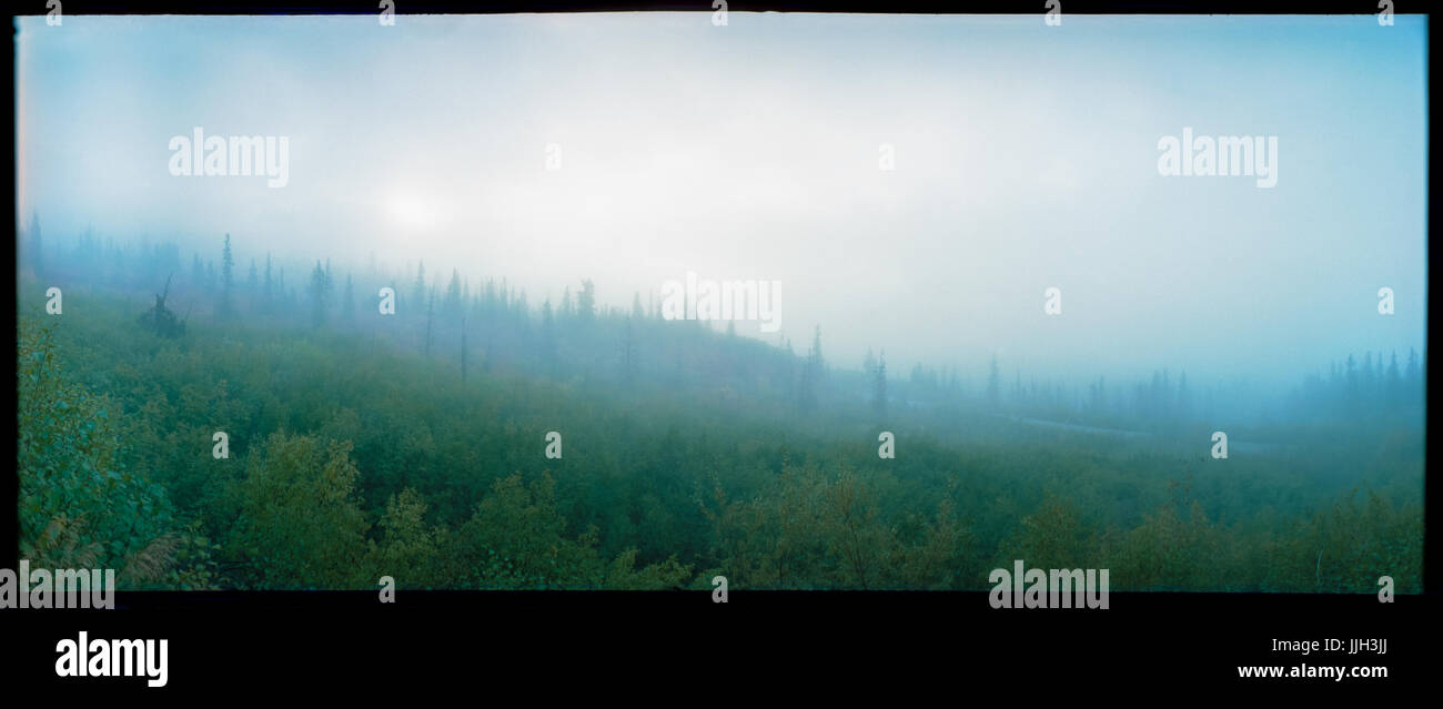 Panoramica di immagini di film di infausto nebbia mattutina e atmosfera appoggiati lungo remote Alaskan wilderness. Foto Stock