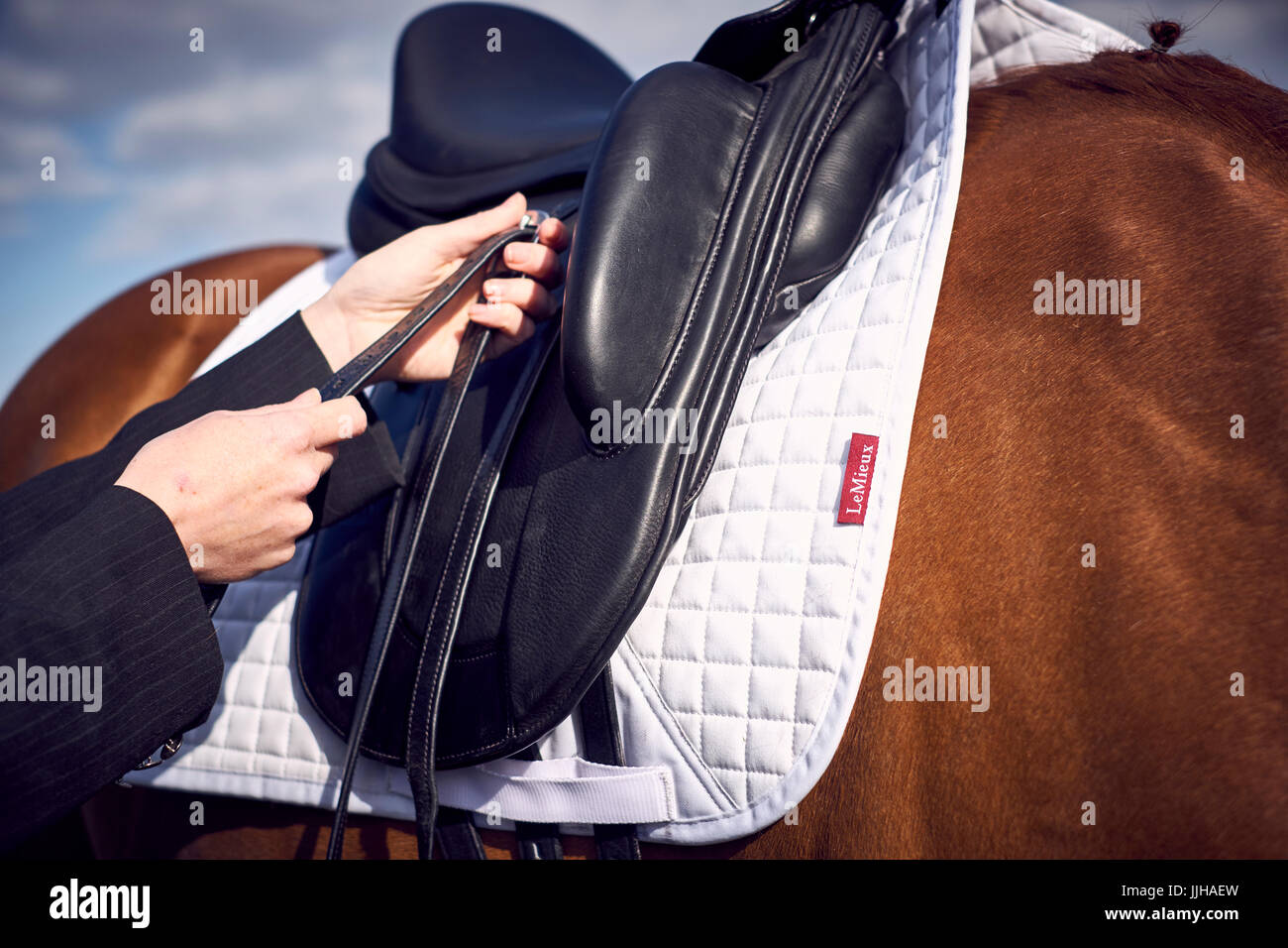 Una giovane donna di incollamento fino il suo cavallo prima di un giro. Foto Stock