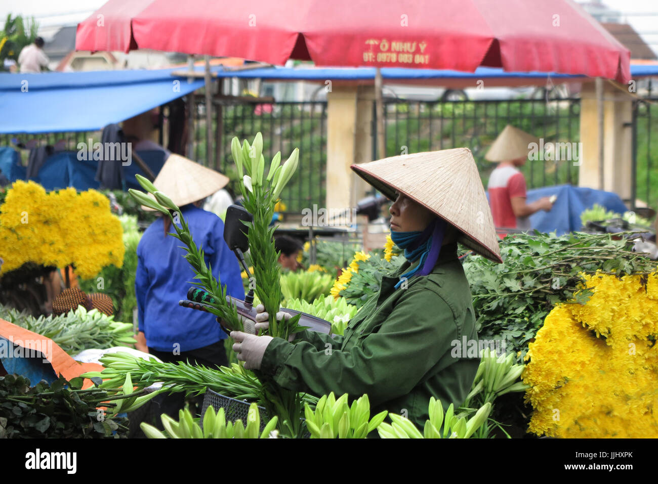 La mattina presto il mercato dei fiori di scena a Hanoi Vietnam Foto Stock