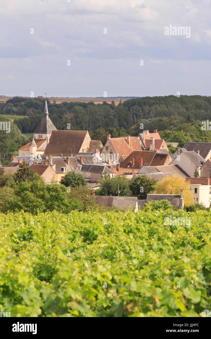 Francia, Indre (36), Reuilly, vue du village et de son vignoble (AOC Reuilly) // Francia, Indre, Reuilly, il villaggio e la vigna Foto Stock