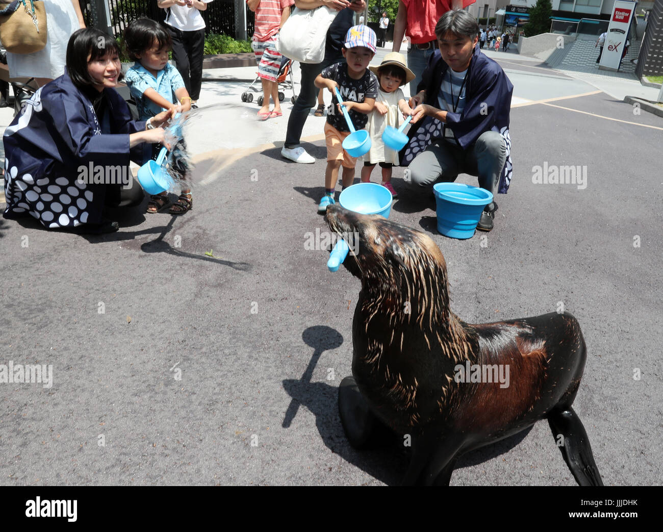 Tokyo, Giappone. Il 20 luglio, 2017. 11-anno-vecchio mare femmina lion 'Shakitto' utilizza un mestolo per spruzzare acqua sul pavimento per raffreddare per l'evento uchimizu presso l'Aqua Park acquario di Shinagawa a Tokyo il giovedì 20 luglio, 2017. Tokyo è balzato a temperatura al di sopra di 32 gradi Celsius come la stagione delle piogge è terminato ufficialmente il 19 luglio. Credito: Yoshio Tsunoda/AFLO/Alamy Live News Foto Stock