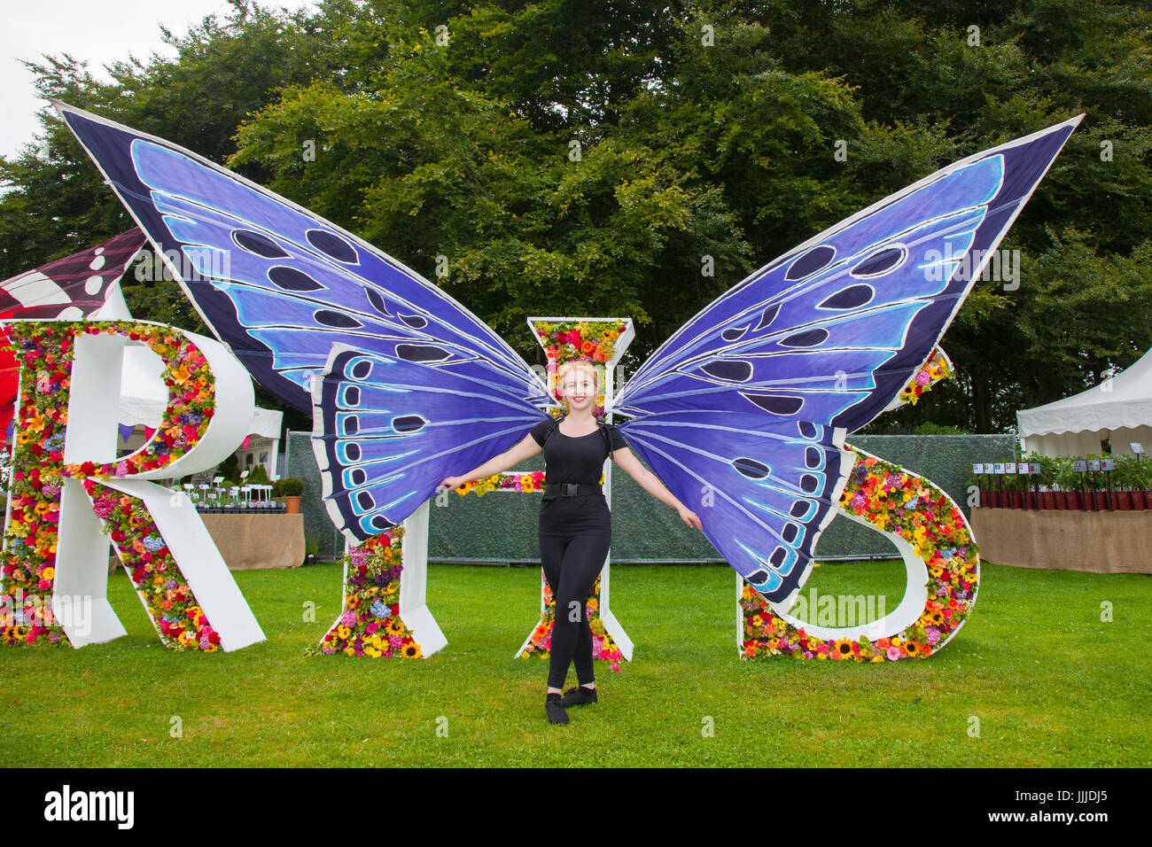 Donna che indossa ali a farfalla, blu, arancione, rosa, costume da bambino  grande, costume per adulti, divertimento a Knutsford, Cheshire, Regno  Unito. 20 luglio 2017. Spettacolo dei fiori di Tatton Park. Debbie