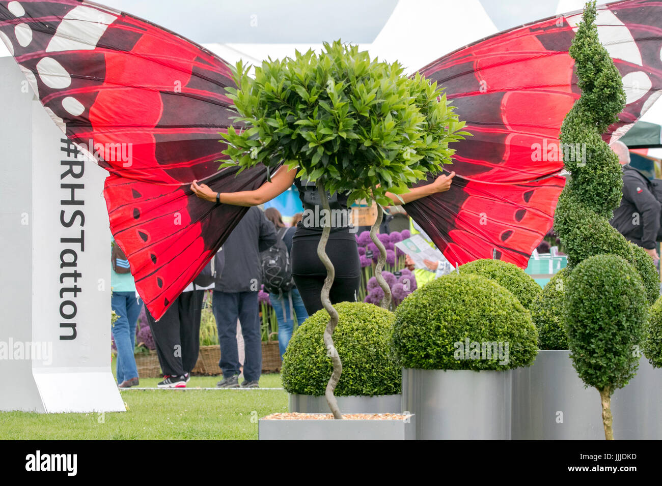 RHS Tatton Park Flower Show, Knutsford, Cheshire. Il 20 luglio 2017. Giorno due di questo anni floral masterclass presso il Royal Horticultural Society's Tatton Park Flower Show 2017. Giardinieri appassionati possono immergersi nella bellezza, il profumo ed il colore del rettangolo di selezione floreale & Pianta Village. Una nuova aggiunta ai giardini spettacolari sul display è il 'Butterfly Dome' dove gli ospiti possono passeggiare attraverso il paradiso tropicale riempito con farfalle esotiche. Credito: Cernan Elias/Alamy Live News Foto Stock