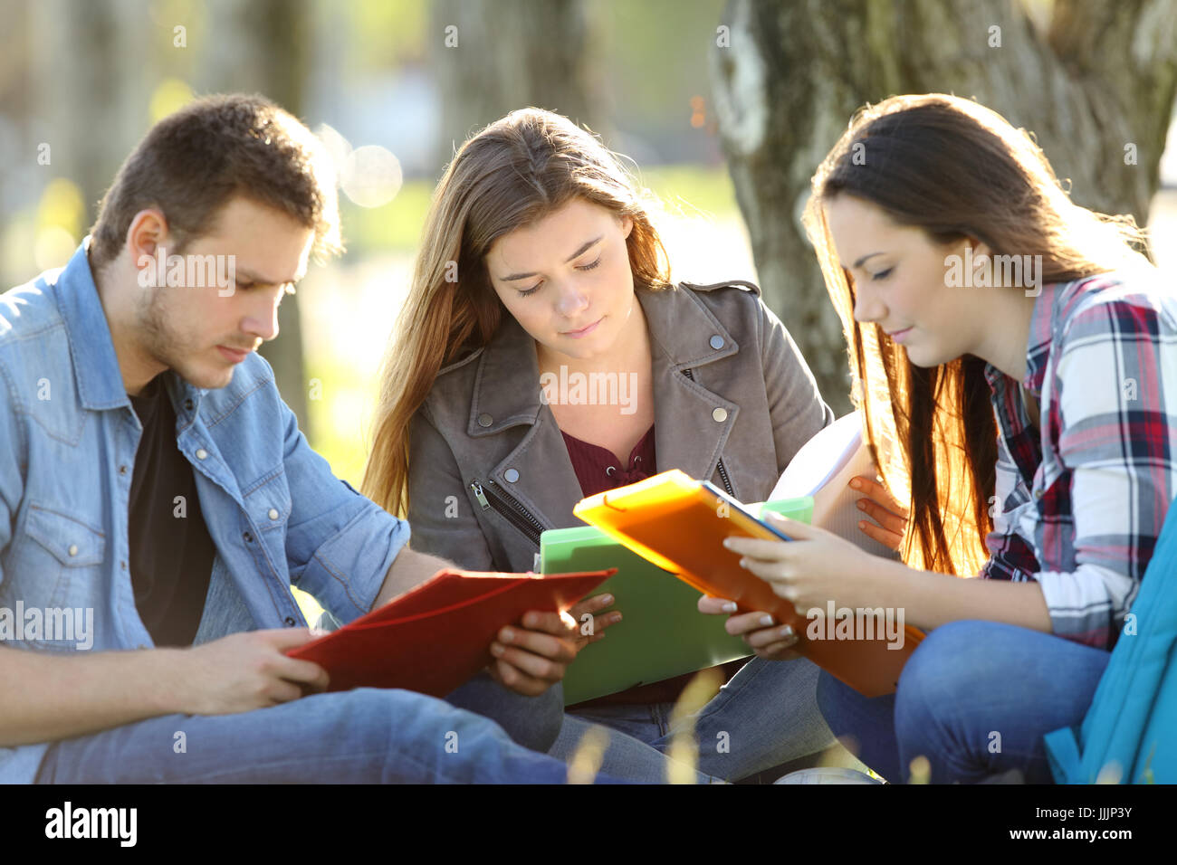 Tre studenti di memorizzare note di seduta sul prato in un parco con una luce calda Foto Stock