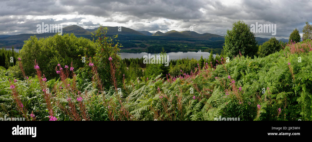 La vegetazione attorno a Loch Garry, Highlands, Scotland, Regno Unito Foto Stock