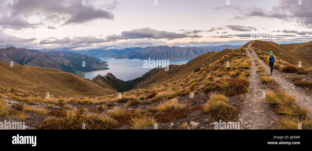 Sentiero escursionistico, Lago Hawea e montagne, vista dal picco di istmo di via, Otago, Isola del Sud, Nuova Zelanda, Oceania Foto Stock