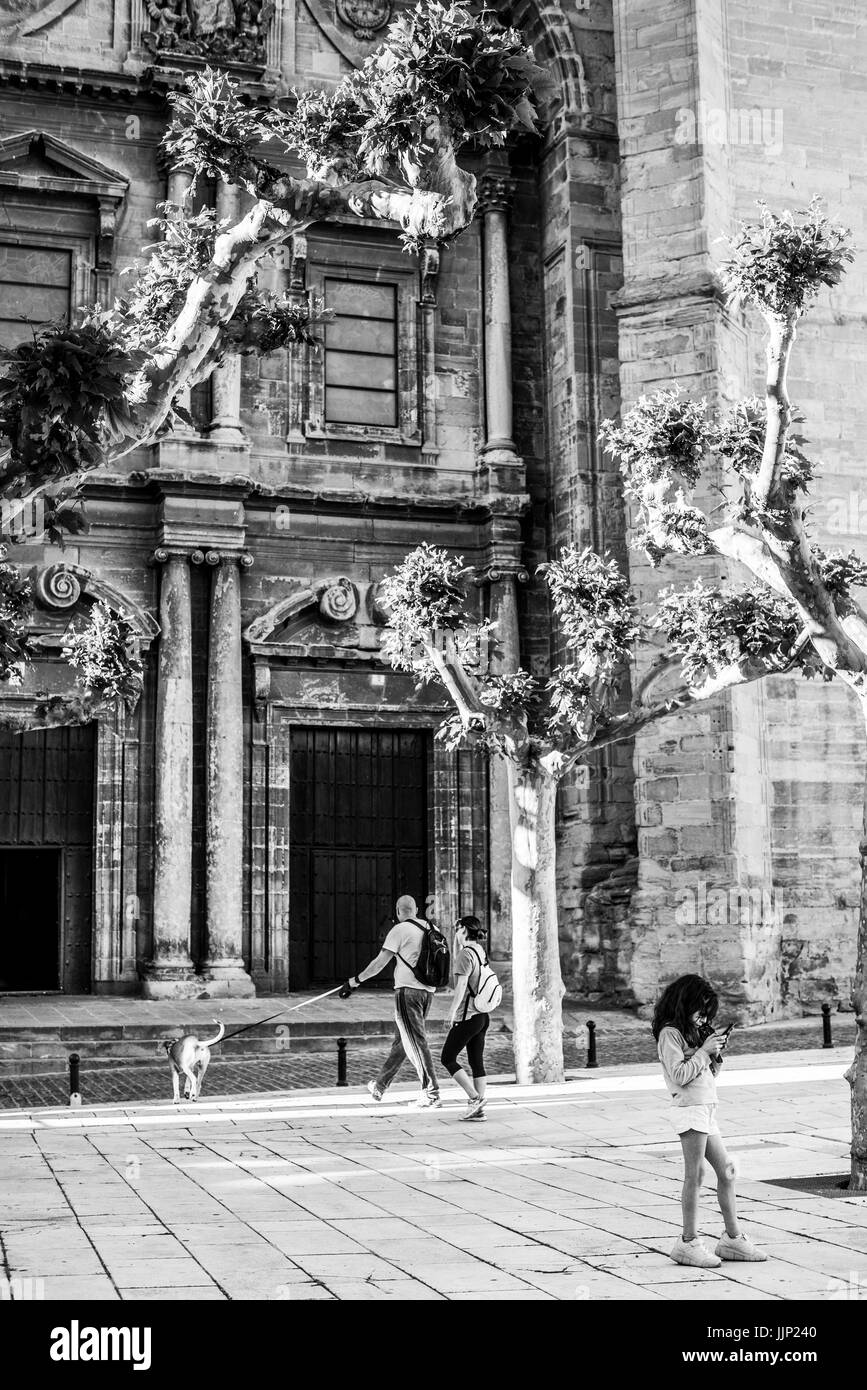 00:03 | 00:12 1× esterni della chiesa di Nostra Signora dell'assunzione, navarrete, la Rioja, Spagna. Camino de Santiago. Foto Stock